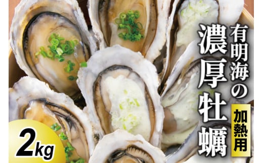 【期間限定発送】瑞穂産牡蠣 2kg [諫早湾漁業協同組合 長崎県 雲仙市 item2064] 牡蠣 カキ 殻付き 殻付 加熱用 冷蔵  カンカン焼き