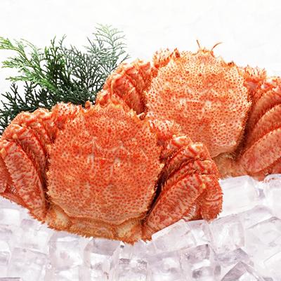 ふるさと納税 稚内市 北海道オホーツク海産 浜ゆで毛がに　約500g×2尾 |  | 01