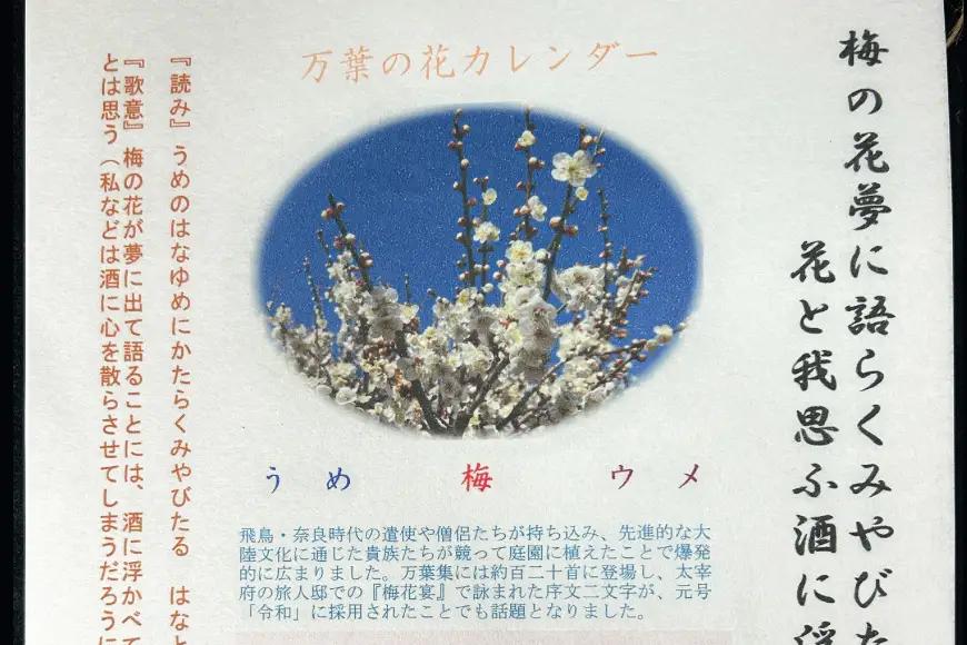 万葉の花カレンダー（細川紙） 新年度 令和8年版