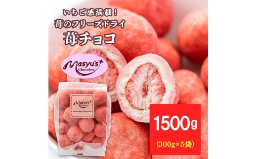 苺のフリーズドライ苺チョコ1500g 300gx5袋 11月～3月発送 チョコレート チョコ スイーツ お菓子 おかし いちご イチゴチョコ イチゴ パウダー ギフト プレゼント 兵庫県 伊丹市[№5275-1101]
