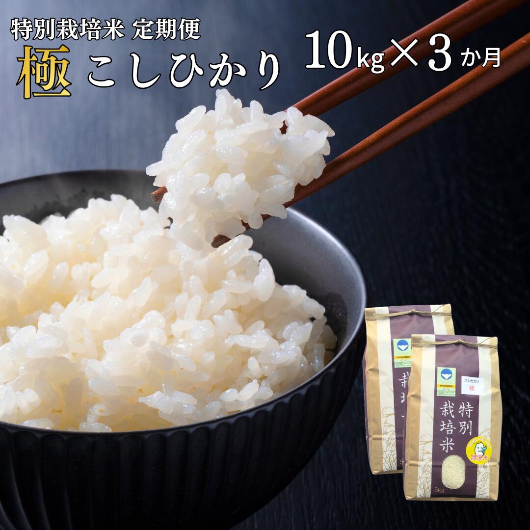 【ふるさと納税】[定期便10kg×3か月] 特別栽培米 コシヒカリ 「極」 10kg×3か月 計30kg 令和7年産 一等米 こしひかり 新潟県認証 精米 白米 5kg包装 アグリ巧房【070S005】