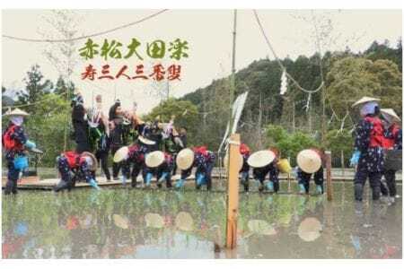 予約受付 2026年8月下旬〜9月上旬頃 新米収穫後発送「赤松大田楽奉納米」コシヒカリ5kg