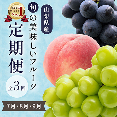 
            ＜発送月固定定期便＞山梨県産旬のおいしいフルーツ＜桃・巨峰・シャインマスカット＞定期便 全3回_ フルーツ くだもの 果物 もも ぶどう 定期便 産地直送 贈答 ギフト 旬 季節限定 送料無料 セット 【4013020】
          