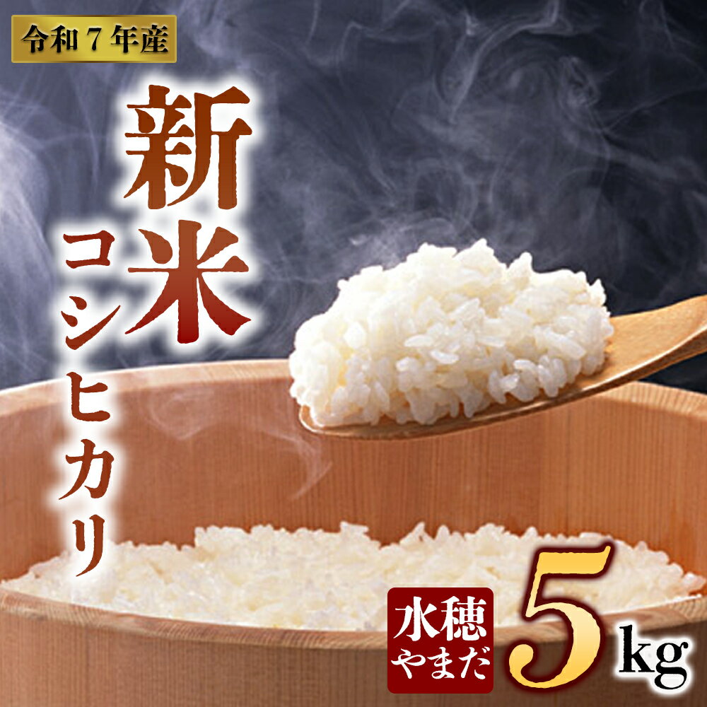【ふるさと納税】【予約】新米 令和7年産　コシヒカリ 5kg　水穂やまだ　 白米 こめ おこめ 阿蘇米 米 お米 美味しい 寒暖差 湧き水 お取り寄せ 食卓 豪華 贅沢 自然 湧水 熊本県 阿蘇市