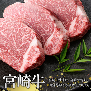 宮崎牛 焼肉2種(ウデ・バラ)(合計1kg・各500g×2)【MI007】【(株)ミヤチク宮崎加工センター】