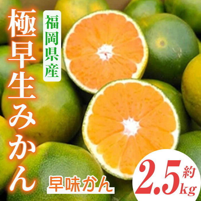 【ふるさと納税】＜先行予約受付中！2025年9月中旬～2025年9月下旬に順次発送予定＞極早生みかん 早味かん(約2.5kg)みかん ミカン フルーツ 果物 くだもの 柑橘 福岡限定 オリジナルブランド＜離島配送不可＞【ksg0117】【南国フルーツ】