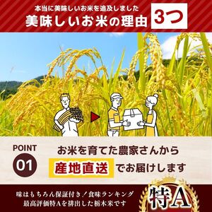 令和8年度産 先行予約 【定期便3回】とちぎの星 白米 約5kg