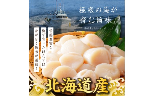【30営業日以内発送】北海道産 ほたて貝柱 400g ( ホタテ ほたて 貝 貝柱 北海道産 玉冷 小分け 急速冷凍 )【241-0005】
