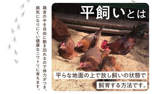 3ヶ月 定期便 平飼い 卵 30個セット (3回) 自然卵  卵 飛騨高山 森のたまご農園 LW102