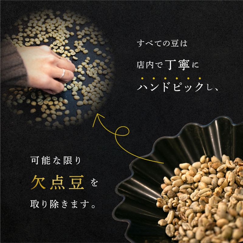 6ヵ月定期便【CRUISE TOWN COFFEE ROASTERS】 深煎りドリップバッグセット（12g×16） 飲み物 飲料 ドリンク コーヒーブレイク ドリップコーヒー 手軽