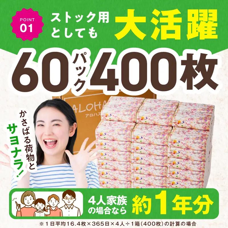 ソフトパックティッシュ 60パック×400枚 ティッシュ