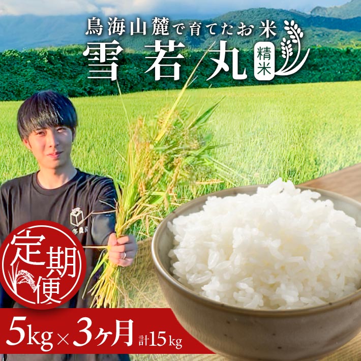 【ふるさと納税】≪3ヶ月定期便≫ 雪若丸 5kg×3ヶ月連続 計15kg 精米 令和7年産米 山形県酒田産 ご希望期間の毎月中旬にお届け 東北 山形県 酒田市 庄内地方 庄内平野 米 お米 白米 ブランド米 ご飯 ごはん 農家直送 産地直送 本多農園