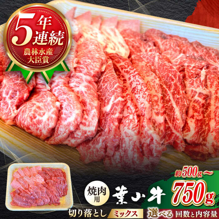 【ふるさと納税】【選べる容量/回数】葉山牛 焼肉用ミックス（ロース、モモ、カルビ等） ／ 牛肉 黒毛和牛 神奈川県 特産品【葉山牛ステーキレストラン 角車】[ASBD027]
