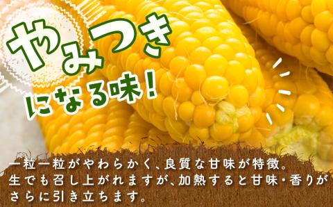 【先行予約・令和6年発送】自慢のスイートコーン【ゴールドラッシュ】18～22本(約7kg)西都市産<1-122>