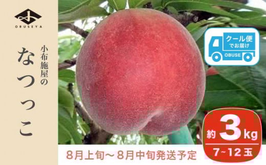 なつっこ (白桃） 約3kg 7～12玉 ［小布施屋］ 桃 白桃 もも モモ フルーツ 果物 令和8年産 【2026年8月上旬～中旬発送】