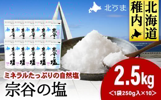 稚内ブランド認定品 宗谷の塩250g×10袋