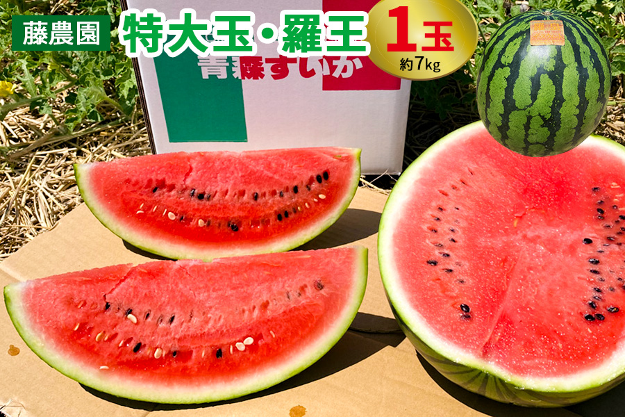 スイカ (特大玉) 羅王 1玉｜青森産 産直 2025年産 令和7年 夏 すいか 西瓜 果物 フルーツ 旬 特産 藤農園 農福連携 ラオウ らおう 羅皇 先行受付 [0835]
