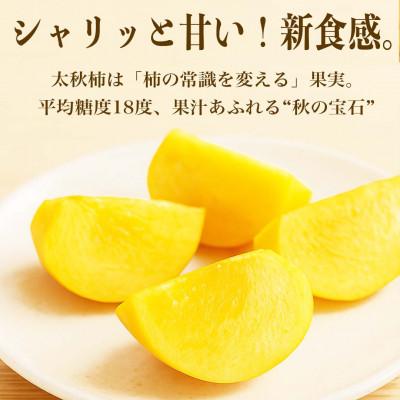 ふるさと納税 山鹿市 太秋柿 8〜15玉 約3kg(山鹿市) |  | 01