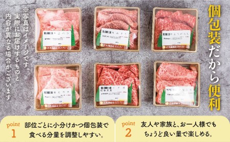 飛騨牛 焼肉6種食べ比べ 希少部位 各100g 飛騨牛 [EN013]
