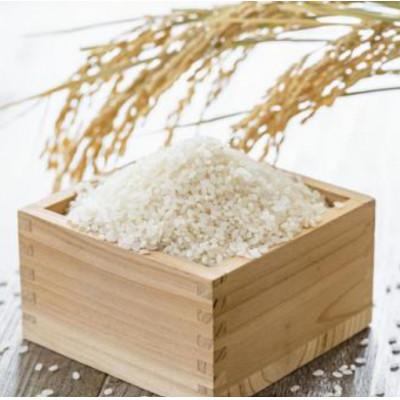 ふるさと納税 朝日村 お米　ゆうだい21(精米)　5kg
