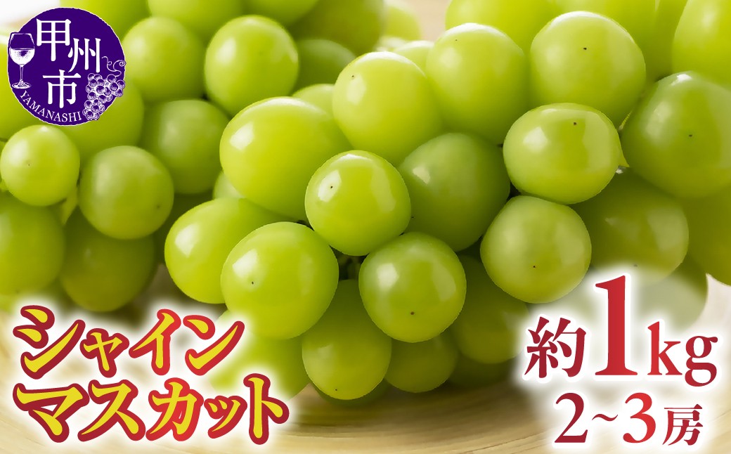 
                  甲州市勝沼産 シャインマスカット 約1kg（2～3房）【2027年発送】（AZY）B-828【シャインマスカット ぶどう 葡萄 ブドウ 令和9年発送 山梨県産 甲州市 フルーツ 果物】
                