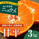 【ふるさと納税】【先行予約受付中】産地直送！愛媛県産甘平 3kg　※2025年1月下旬～2月下旬頃に順次発送予定　≪柑橘 みかん ギフト≫