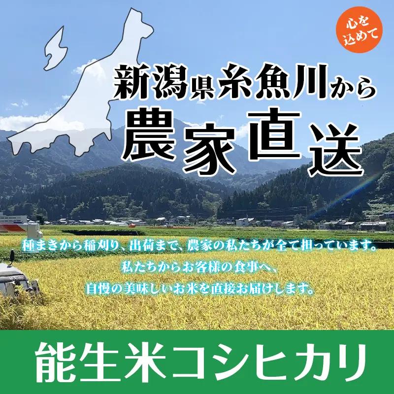 ★7日以内でスピード発送★ 令和7年産『新潟県産コシヒカリ』 玄米 30kg 農家直送（精米サービス可能） 農家直送 あぐ里能生 プロが認めたうまい米 ふっくらもちもち 糸魚川 農家自慢 精米 おにぎ