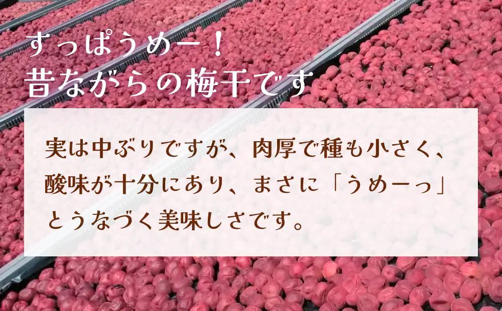うめーっ！氷見稲積梅 梅干し1kg | 手作り 昔ながら 酸っぱい 梅干 