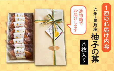 【全6回定期便】【進物箱】柚子の葉 8枚入り[VBU018]ギフト 贈り物 和菓子