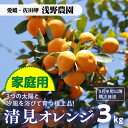 【ふるさと納税】【先行予約】【家庭用】清見オレンジ 約3kg｜柑橘 みかん ミカン フルーツ 果物 愛媛 ※2025年3月上旬頃より順次発送予定 ※離島への配送不可