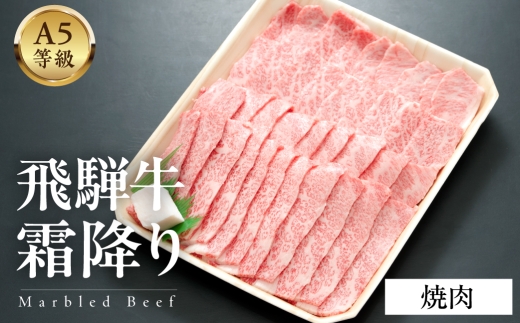 A5等級飛騨牛  霜降り焼肉 300g