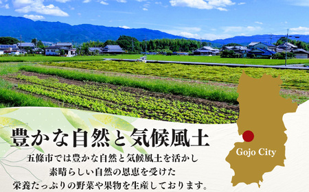 季節の野菜セットB | 詰め合わせ 果物 新鮮 お試し おすすめ 冬 春 夏 秋 国産 奈良県 五條市