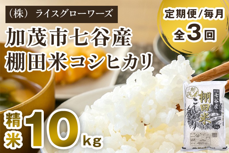 
                  【令和7年産】【定期便3回毎月お届け】新潟県加茂市 七谷産 棚田米コシヒカリ 精米10kg（5kg×2）《順次出荷》 白米 （株）ライスグローワーズ 定期便
                