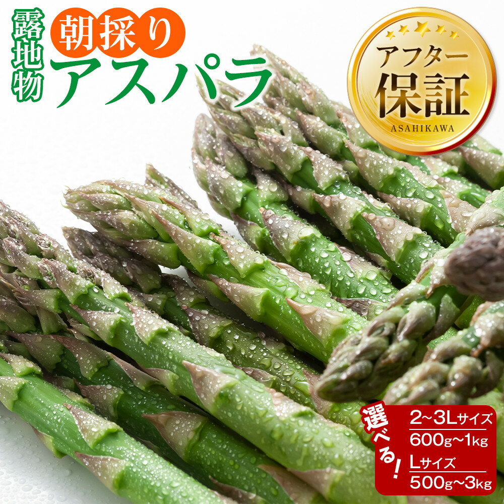 【ふるさと納税】ランキング常連 露地物朝採りアスパラ 鮮度保持フィルム入り(5月中旬発送開始予定) | 野菜 アスパラガス グリーンアスパラ 旬 とれたて お取り寄せ 産地直送 小分け 保存 旭川市 北海道 送料無料