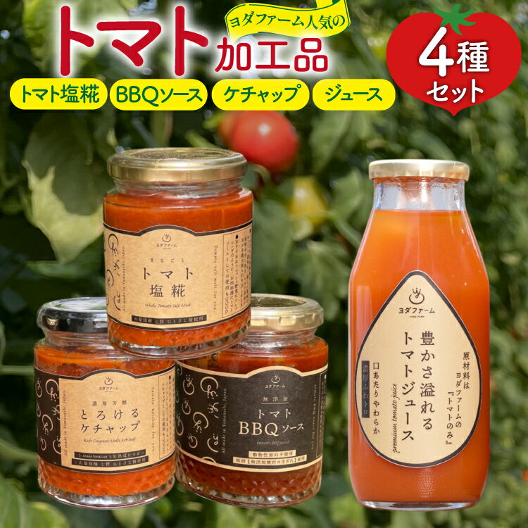 【ふるさと納税】トマト塩糀 トマトBBQソース トマトケチャップ トマトジュース 4種詰め合わせセット 各1個 [ヨダファーム 山梨県 中央市] セット 詰め合わせ ソース タレ たれ 調味料 ケチャップ とまと トマト トマトソース 野菜ジュース