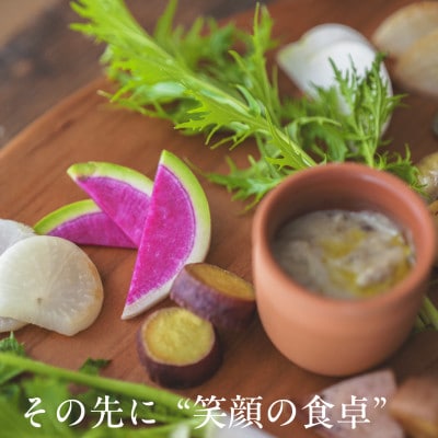 【毎月定期便】しあわせ野菜畑の有機野菜 Mセット (安心の有機JAS認証 オーガニック野菜)全12回【配送不可地域:離島・北海道・沖縄県・四国・九州】