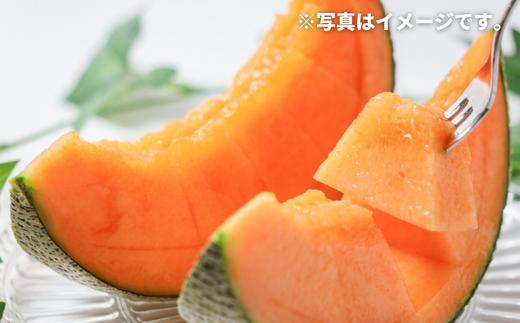 【先行予約】メロン 2玉 <令和7年産 >美景農園 [016-61]