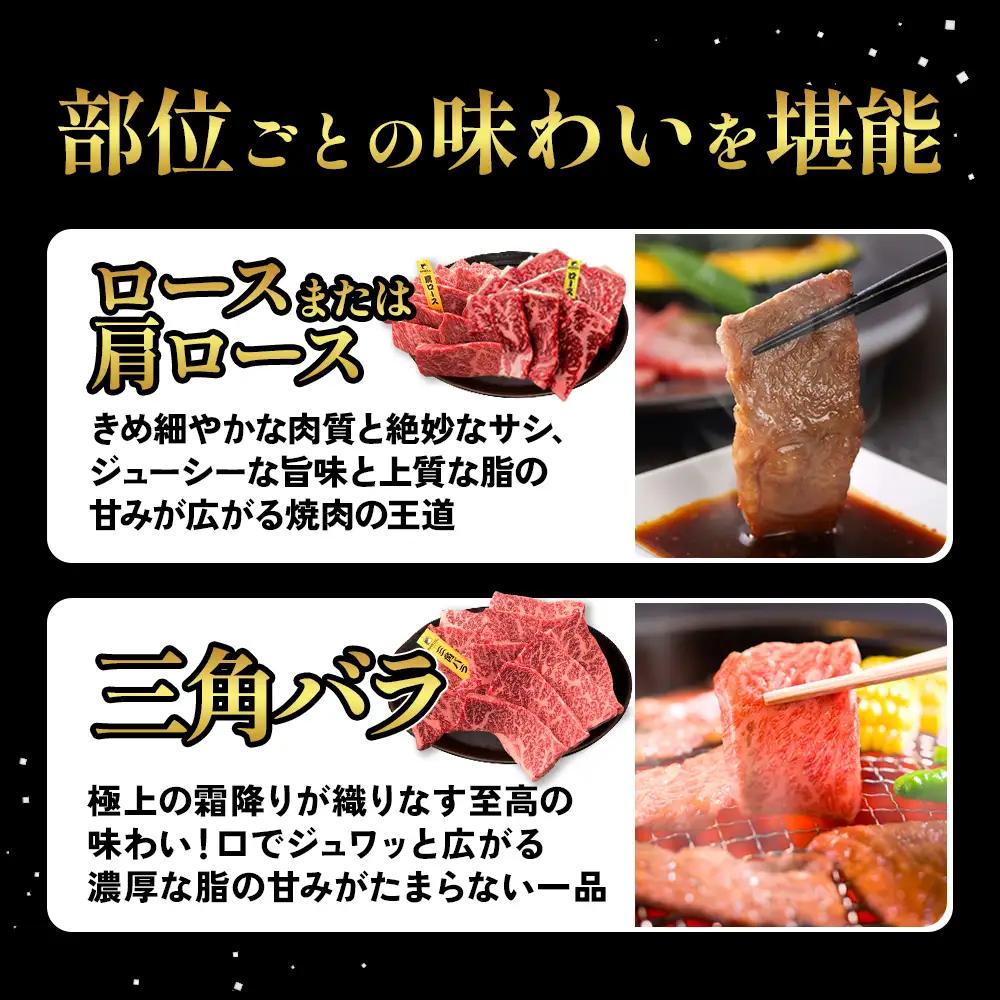 宮崎県産 黒牛 焼肉 赤身 牛肉 焼肉セット ロース 肩ロース 三角バラ 2点盛り 560g(280g × 2パック)焼肉用 肉 お肉 牛 国産牛 食べ比べ  セット 小分け 真空パック 冷凍 贈答 