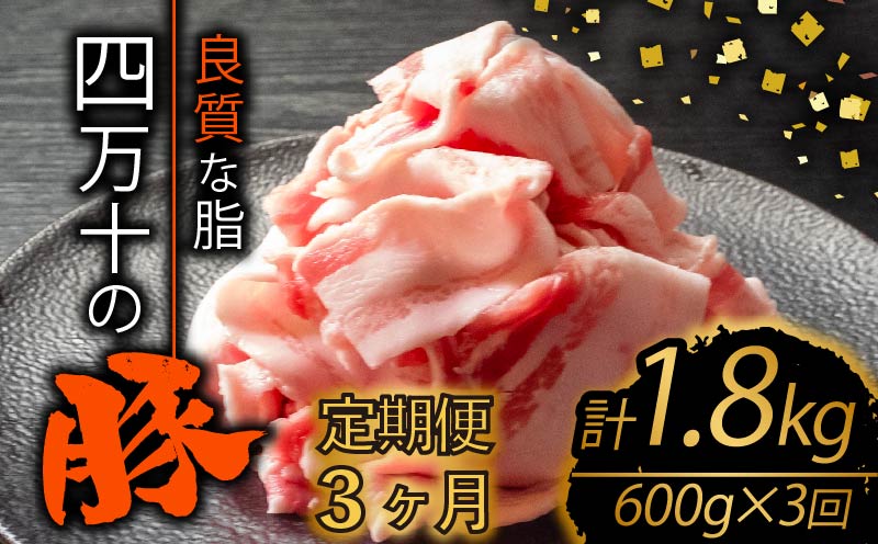 【定期便3回】四万十ポークスライス 計1.8kg（600g×3ヶ月連続お届け) Yコース | 豚肉 豚バラ肉 小分け 小間切れ スライス 切り落とし 冷凍 真空パック 簡単調理 細切れ 大容量 肉 高知県 須崎市 TM27000