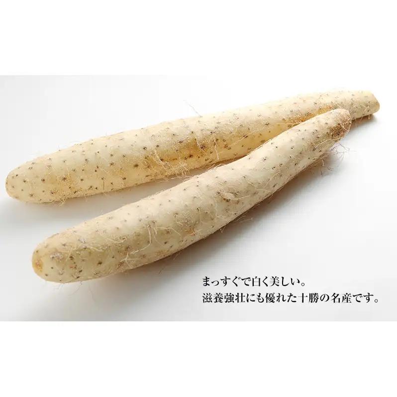 2026年12月発送 先行予約 十勝「忠類長いも」5kg (5～8本) L～2L［JA忠類］【 長芋 ながいも 山芋 芋 とろろ 野菜 根菜 産地直送 贈答 ギフト北海道 幕別 】