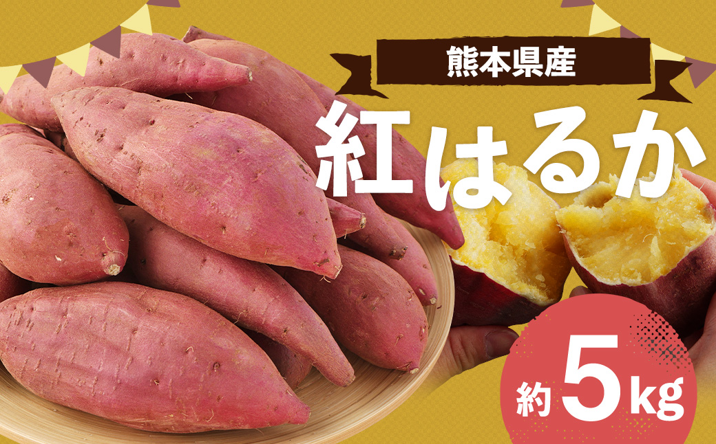 熊本県産 紅はるか 約5kg べにはるか さつまいも サツマイモ さつま芋 お芋 芋 【2026年3月下旬まで発送予定】