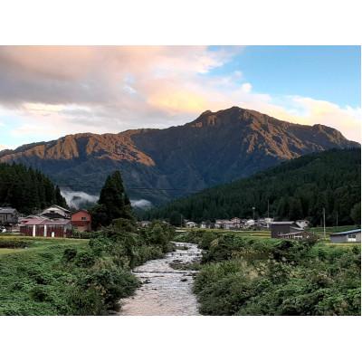 ふるさと納税 糸魚川市 新潟県産 糸魚川産令和7年産 コシヒカリ 100% 精米 3kg 7分づき 新米 |  | 03