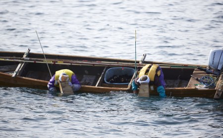【2024年度追加予約】【無添加】広田湾の生うに300g(塩水パック)【期日指定不可】【 三陸産 天然 濃厚 人気 魚介類 雲丹 ウニ 塩水 塩水うに 魚介 海産物 海の幸 うに丼 刺身 】
