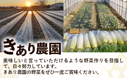 【きあり農園】2026年度 幸手市産 にんにく 1kg - 採れたて ニンニク ガーリック 産地直送 野菜 ベジタブル 美味しい おいしい 根菜 スタミナ 大蒜 生にんにく 国産 おすすめ 送料無料 
