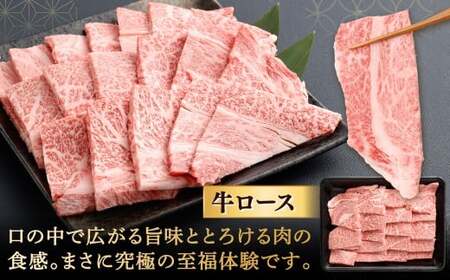 【やまぐち和牛燦】 焼肉セット 牛ロース焼肉・牛カルビ焼肉 各約500g 焼肉 焼肉用 焼き肉 牛ロース 牛カルビ 牛肉 冷凍 福岡県 北九州市