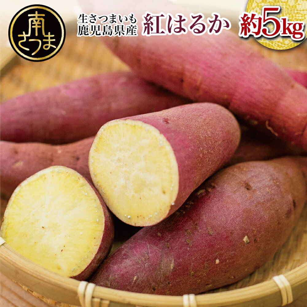 【ふるさと納税】★10月発送開始★ 鹿児島県産「紅はるか」生さつまいも 約5kg 先行受付 さつまいも 焼き芋 さつま芋 甘藷 サツマイモ べにはるか スイーツ JA 南さつま市 送料無料