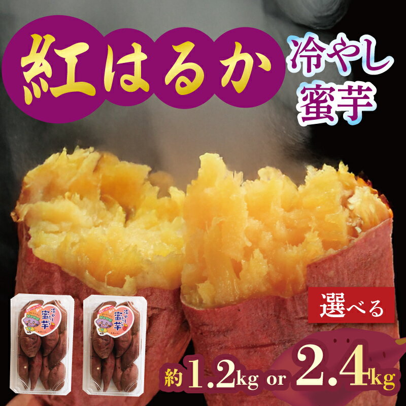 【ふるさと納税】 予約 焼き芋 蜜芋 冷蔵 紅はるか 約1.2kg 約2.4kg 芋 さつまいも おいも お芋 やきいも サツマイモ おやつ スイーツ デザート コグマ ダイエット 低GI 食物繊維 香川県 丸亀市 配送：11月下旬～