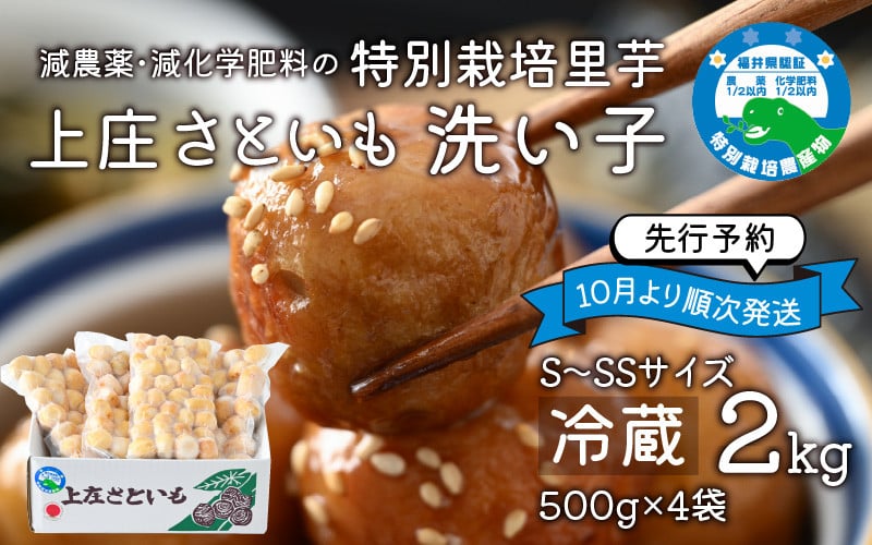 
            【先行予約】上庄さといも 洗い子 2kg（500g × 4袋）【冷蔵】減農薬・減化学肥料の特別栽培里芋 農家直送 煮物に便利な小さめサイズ【10月中旬より順次発送】
          