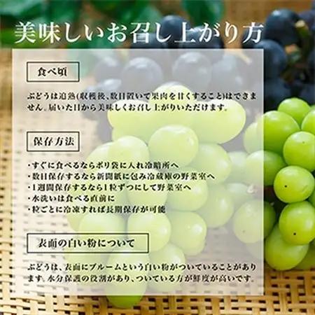 【先行受付】岡山県産　シャインマスカット『晴王』4房(1房480g以上・合計約2kg)　【配送不可地域：離島・北海道・沖縄県】【1360475】