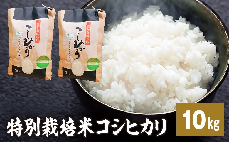令和7年産特別栽培米 コシヒカリ 10kg お米 ※2025年9月中旬頃より順次発送予定